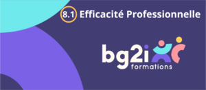 Efficacité professionnelle