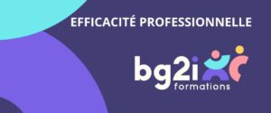 Efficacité professionnelle
